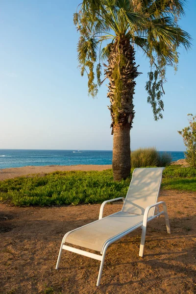 Lounge chair near the palm tree on the beach — Stock Photo, Image