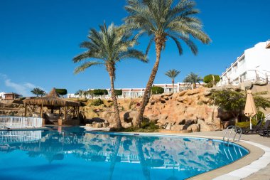 Palmiyeler ve havuz kenarında şezlong güneş