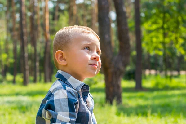 Маленький мальчик смотрит на деревья в парке в летний день — стоковое фото