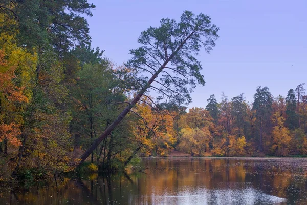 Herfst landschap, bos rondom het meer — Stockfoto