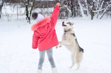 Küçük kız winte bir Siberian dış yapraklar doğurmak köpek ile oynamak