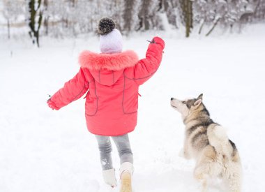 Küçük kız winte bir Siberian dış yapraklar doğurmak köpek ile oynamak