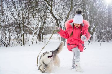 Bir kız bir pembe ceket ve şapka bir Husky yanındaki karda çalışır