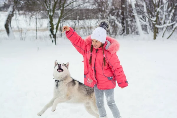 Küçük kız winte bir Siberian dış yapraklar doğurmak köpek ile oynamak