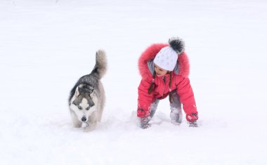 Siberian dış yapraklar ve küçük kız köpek yarış.