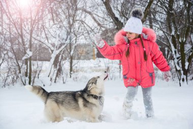 Küçük kız winte bir Siberian dış yapraklar doğurmak köpek ile oynamak