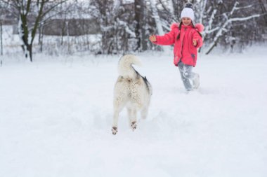 Bir kız bir pembe ceket ve şapka bir Husky yanındaki karda çalışır