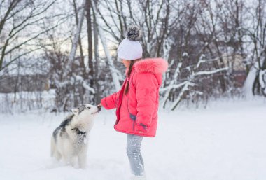 Küçük kız winte bir Siberian dış yapraklar doğurmak köpek ile oynamak