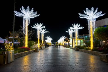 Yazı işleri. 27.02.2020. Sharm El Sheikh, Mısır. Soho Meydanı. Soho 'daki parlak palmiye ağaçları, Sharm El Sheikh, Mısır