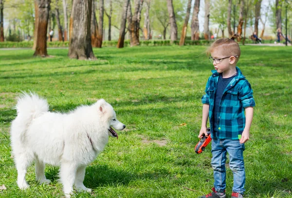 Маленький Мальчик Очках Играет Белой Собакой Самоед Маленький Хипстер Парке — стоковое фото