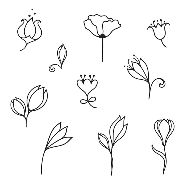 Blommor doodle set — Stock vektor