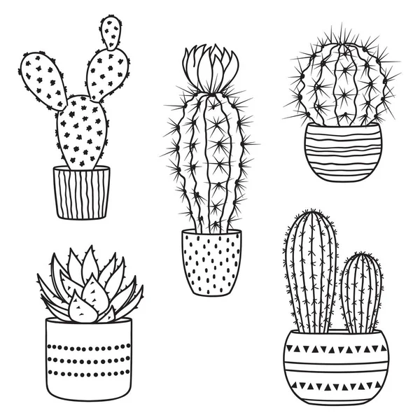 Kaktusar set — Stock vektor