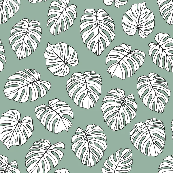 Patrón de hojas de Monstera — Vector de stock