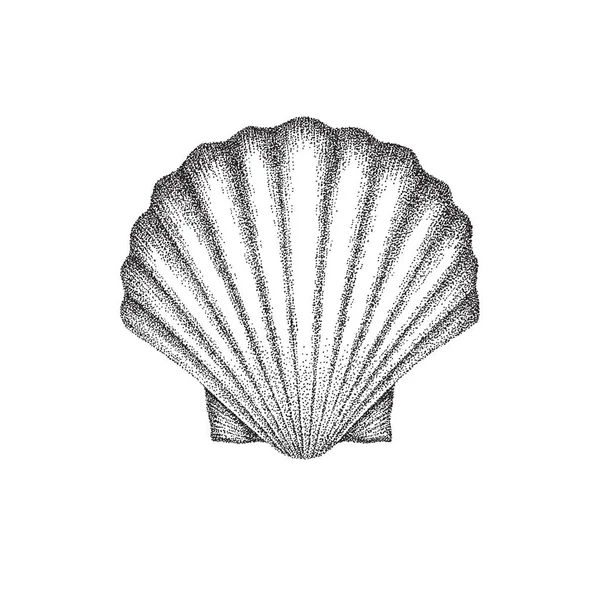 Scallop Shell Hand Dotwork Σχέδιο Στυλ Εικονογράφηση Διανύσματος — Διανυσματικό Αρχείο