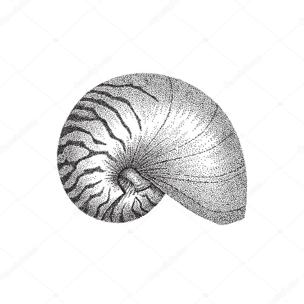 Nautilus shell hand drawing in dotwork style. Vector illustration