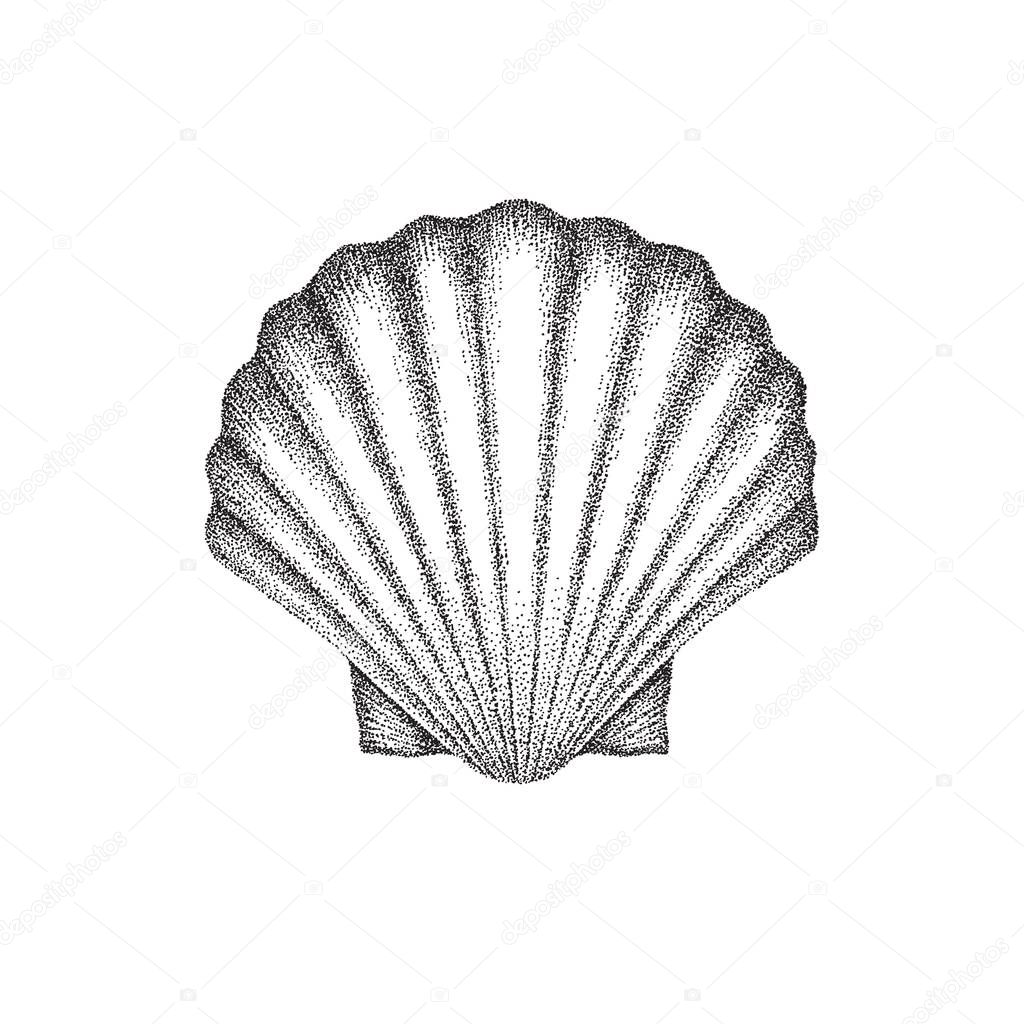 Scallop shell hand drawing in dotwork style. Vector illustration