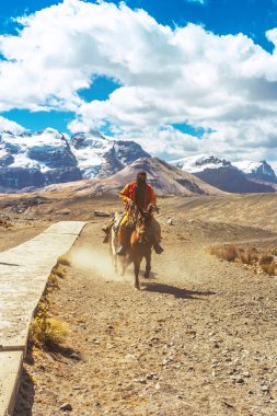 Huaraz / Peru 'daki Huascarn Ulusal Parkı' ndaki Pastoruri buzuluna giden at sırtında kılık değiştirmiş bir binici. Tropik buzullar deniz seviyesinden 5200 metre yükseklikte..
