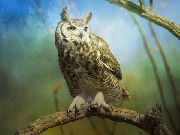 Artistic Great Horned Owl