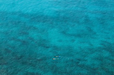 İki kişi Hawaii Pasifik Okyanusu'nda dalış