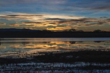 New Mexico 'da bir gölün üzerinde gün doğumu