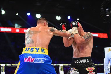 Wbo Cruserweight Dünya şampiyonu ünvanını için mücadele