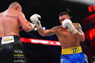 Wbo Cruserweight Dünya şampiyonu ünvanını için mücadele