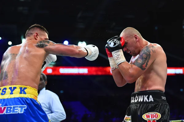 Lucha por el título de campeón mundial de peso crucero de la OMB —  Fotos de Stock