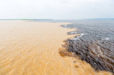 Rio del Negro ile Brezilya 'da Amazon Nehri' nde su toplantısı