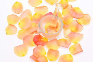 Beyaz renkli gül yaprakları