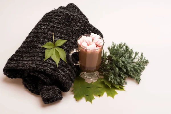 Marshmallow με ζεστή σοκολάτα σε ποτήρι — Φωτογραφία Αρχείου