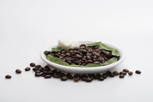 Kaffebönor lögner på tallrik — Stockfoto