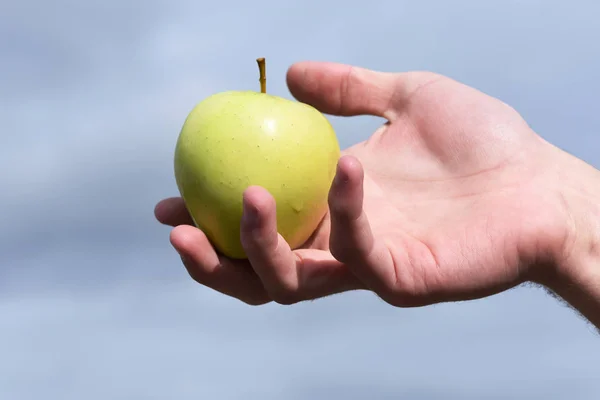 Zielone jabłko w ręku — Zdjęcie stockowe
