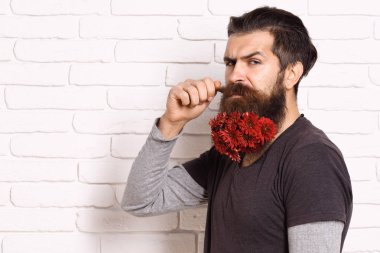 Sakallı bir hippi.