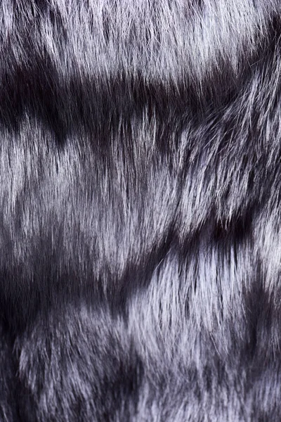 銀狐の毛皮 — ストック写真
