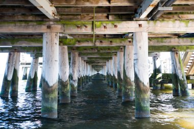 briwge ve su altında görünümü