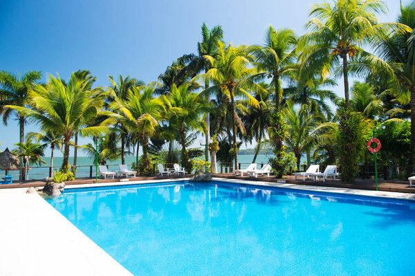 бассейн и пальмы
