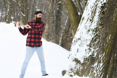 Yakışıklı adam ağaç kesiyor.