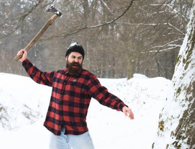 Yakışıklı vahşi oduncu ağacı kesti.