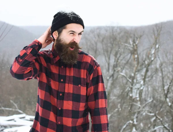 Handsome bearded man scratches head