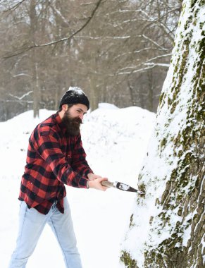 Yakışıklı adam ağaç kesiyor.