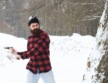 Yakışıklı adam ağaç kesiyor.