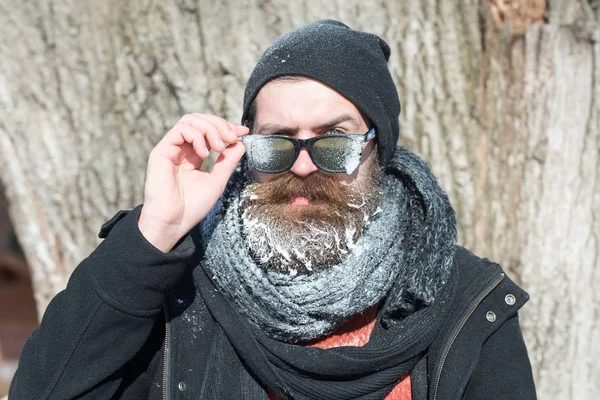 Handsome bearded man near tree — Stock Photo, Image