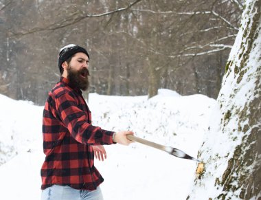 Yakışıklı vahşi oduncu ağacı kesti.