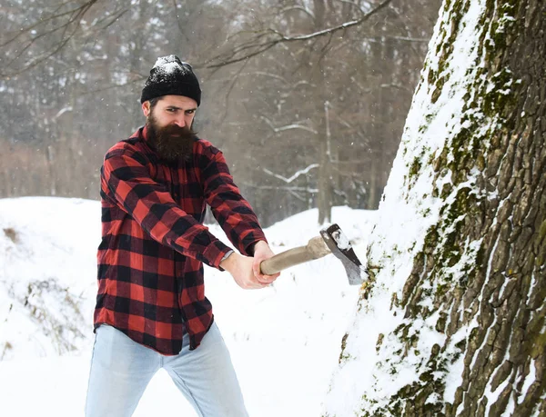 Yakışıklı adam ağaç kesiyor.