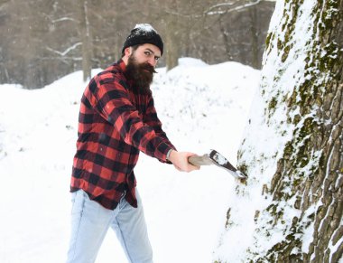 Yakışıklı adam ağaç kesiyor.