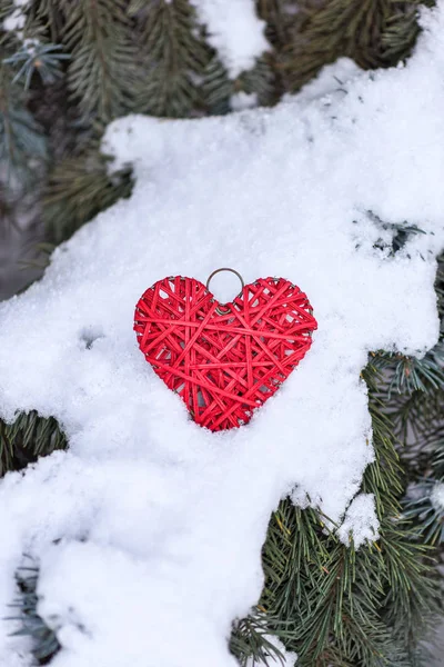 Corazón hecho a mano rojo en las ramas — Foto de Stock