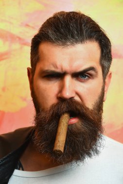 Sakallı vahşi Kafkas hippisi puro içiyor.