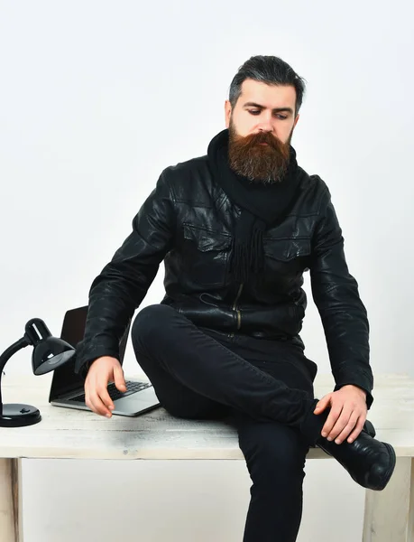 Skäggig brutal kaukasisk hipster sitter på bordet med laptop på — Stockfoto
