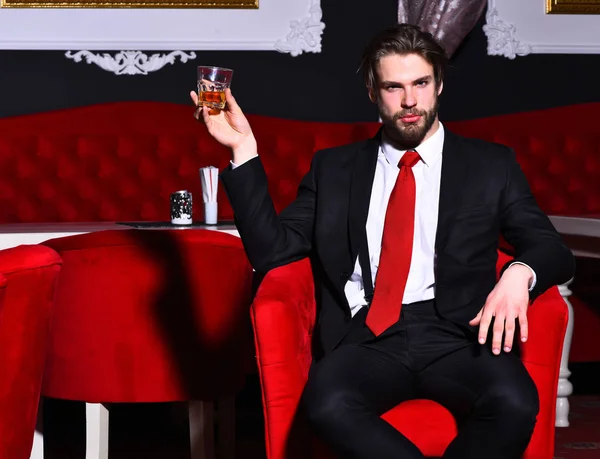 Bearded man, businessman holding glass of whiskey in red chair