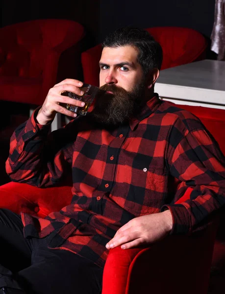 Brodaty człowiek hipster trzymając szklankę whisky w czerwonym krześle — Zdjęcie stockowe